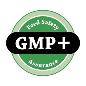GMP Logo